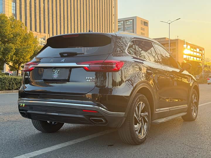 Фото 4 - Hongqi HS5