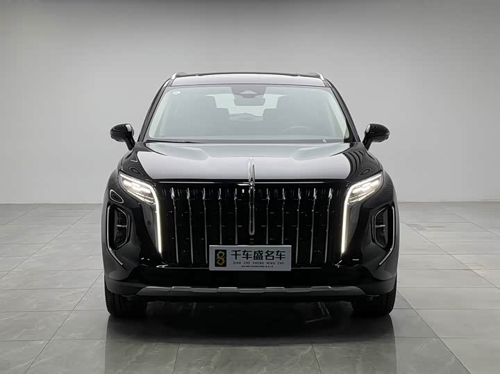 Фото 2 - Hongqi HS7 Hybrid