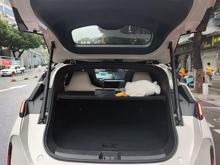 Фото 4 - Zeekr X