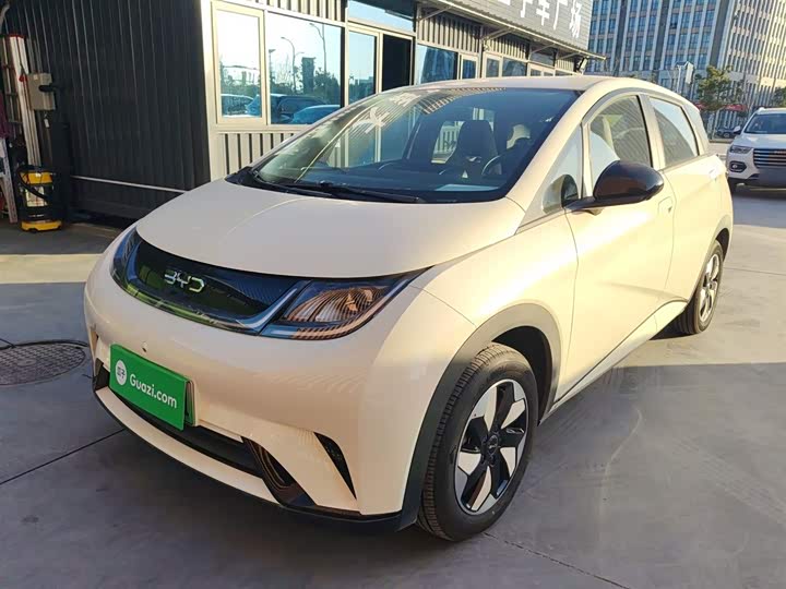 Фото 1 - BYD Dolphin