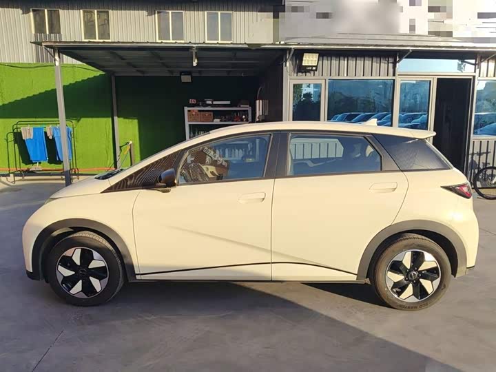 Фото 5 - BYD Dolphin