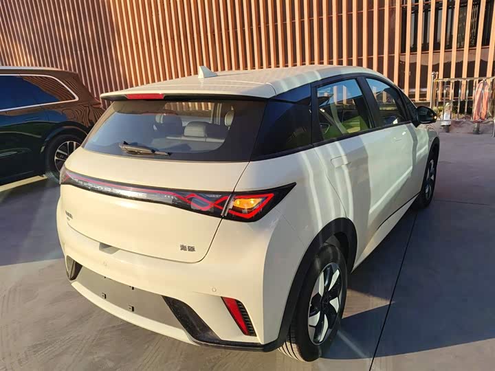 Фото 7 - BYD Dolphin