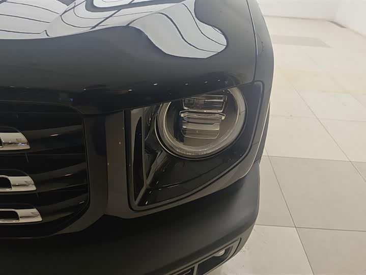 Фото 5 - Haval Dargo