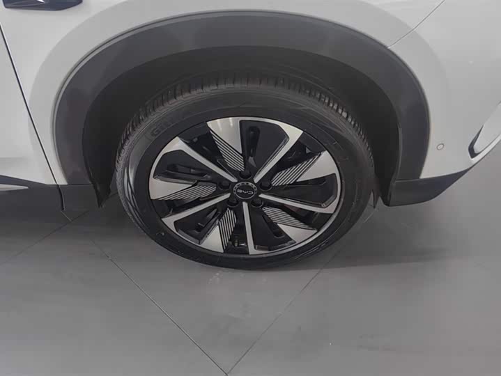 Фото 6 - BYD Song Plus Hybrid/EV