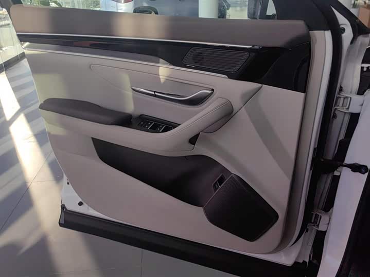 Фото 7 - BYD Song Plus Hybrid/EV