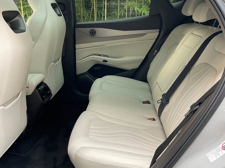 Фото 8 - Denza N7