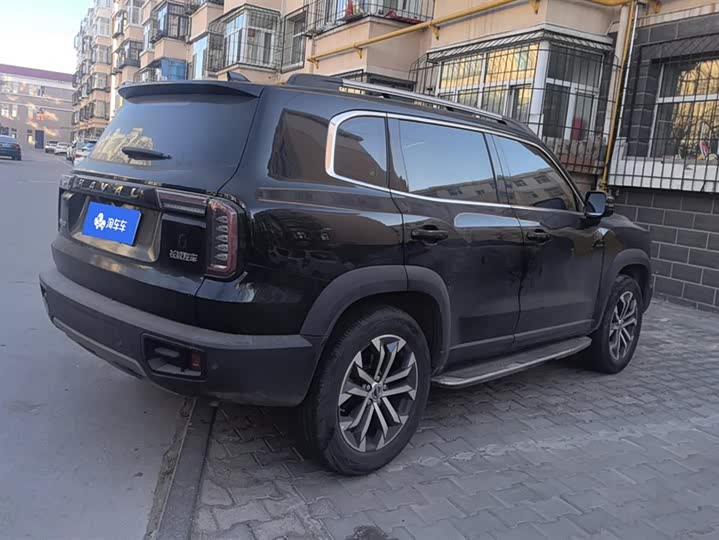 Фото 3 - Haval Dargo