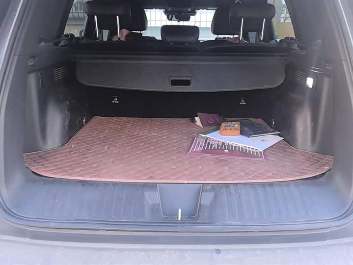 Фото 4 - Haval Dargo