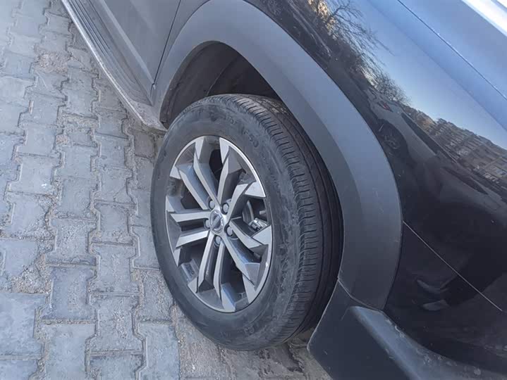 Фото 6 - Haval Dargo