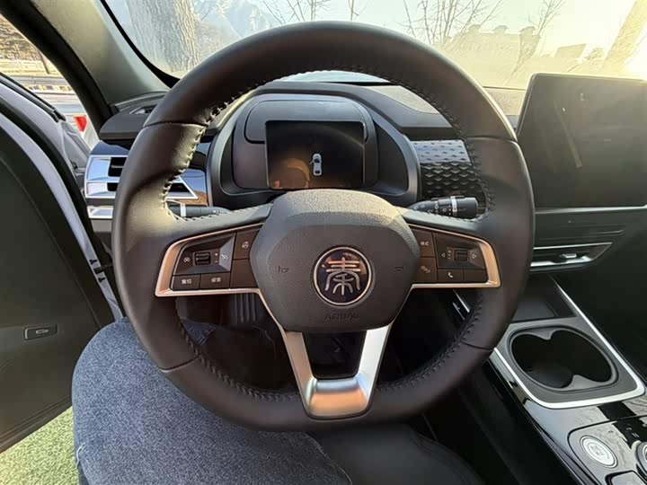 Фото 4 - BYD Qin Plus