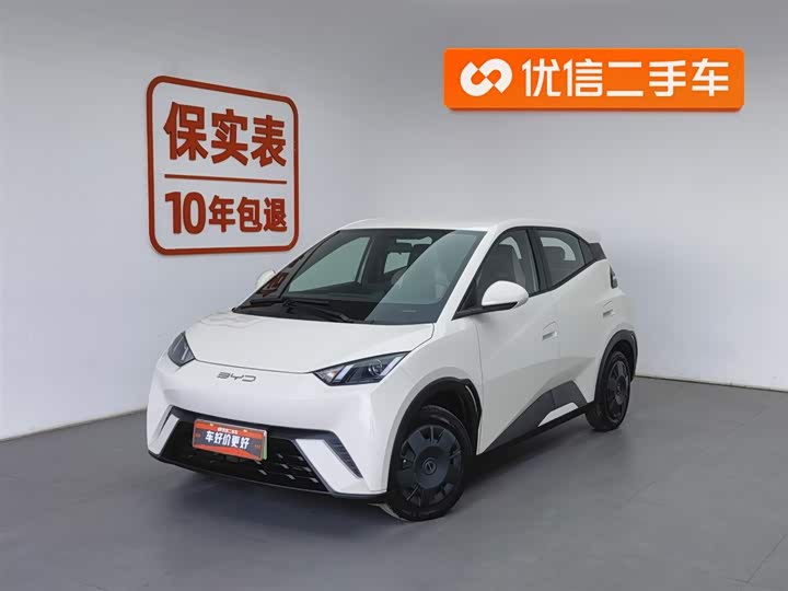 Фото 1 - BYD Seagull