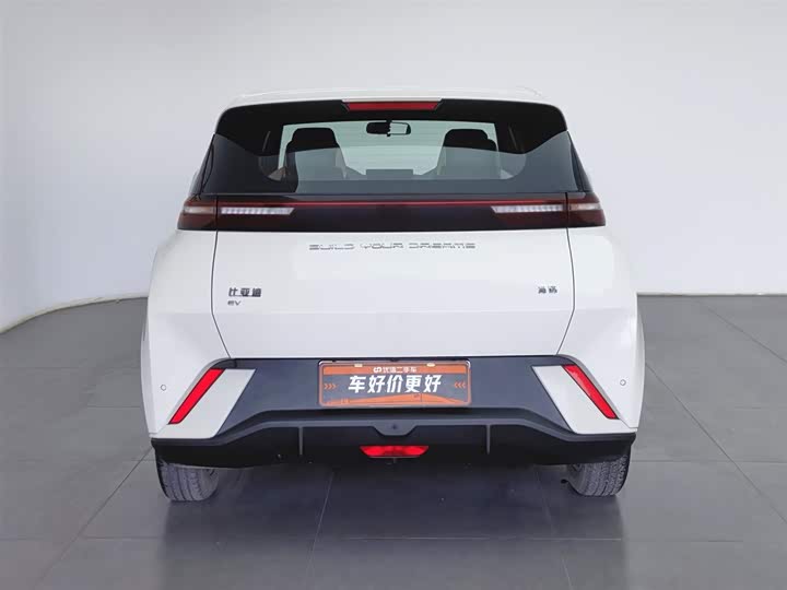 Фото 4 - BYD Seagull