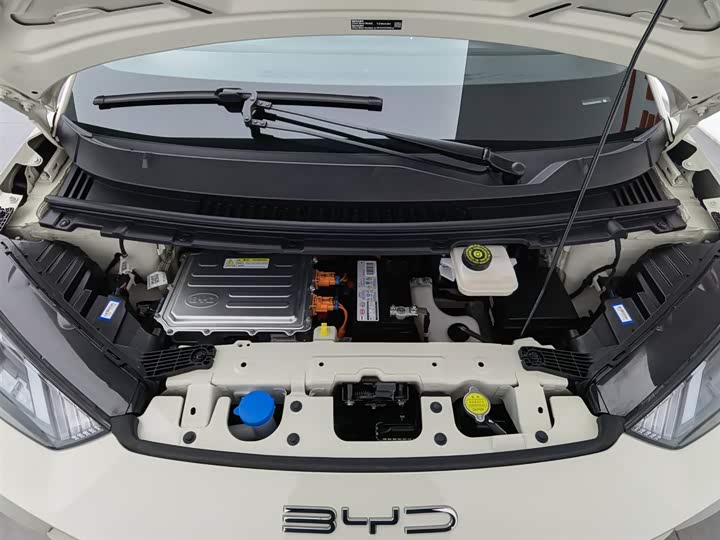 Фото 6 - BYD Seagull