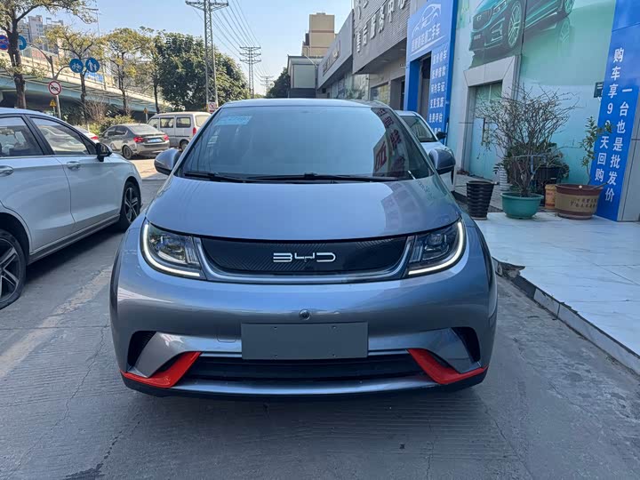 Фото 2 - BYD Dolphin