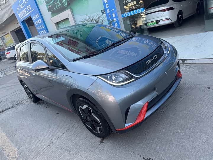 Фото 3 - BYD Dolphin