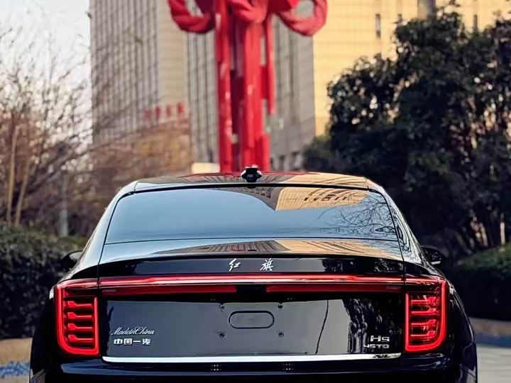 Фото 5 - Hongqi H9