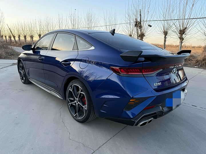 Фото 6 - Hyundai Lafesta