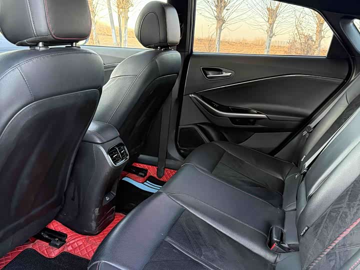 Фото 8 - Hyundai Lafesta