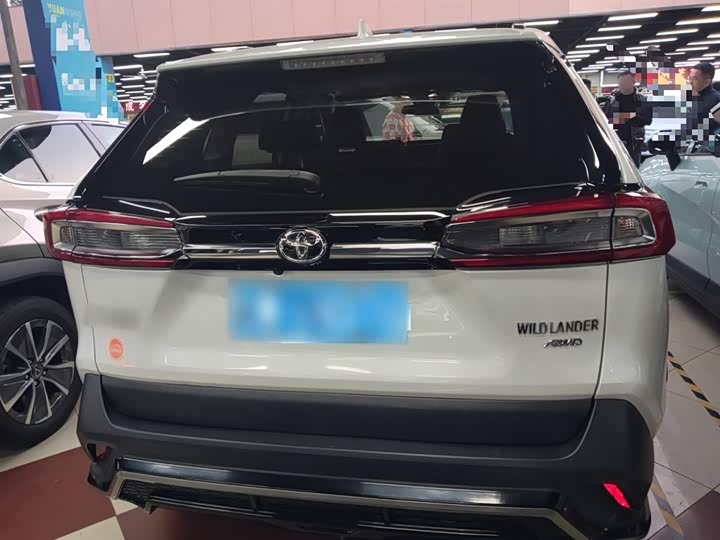 Фото 6 - Toyota Wildlander