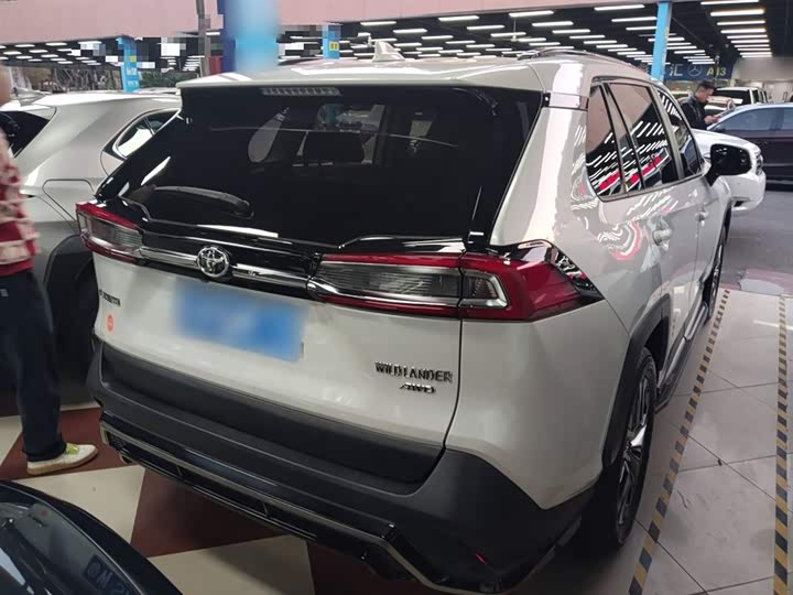 Фото 7 - Toyota Wildlander