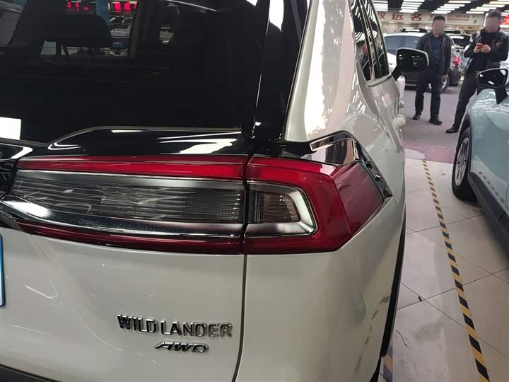 Фото 8 - Toyota Wildlander