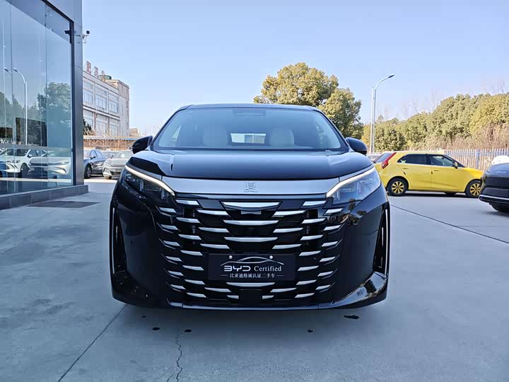 Фото 2 - BYD Xia