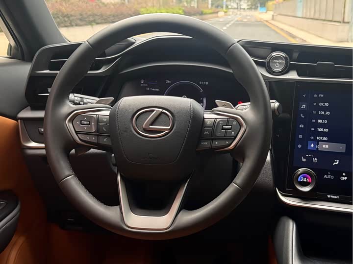 Фото 8 - Lexus RZ