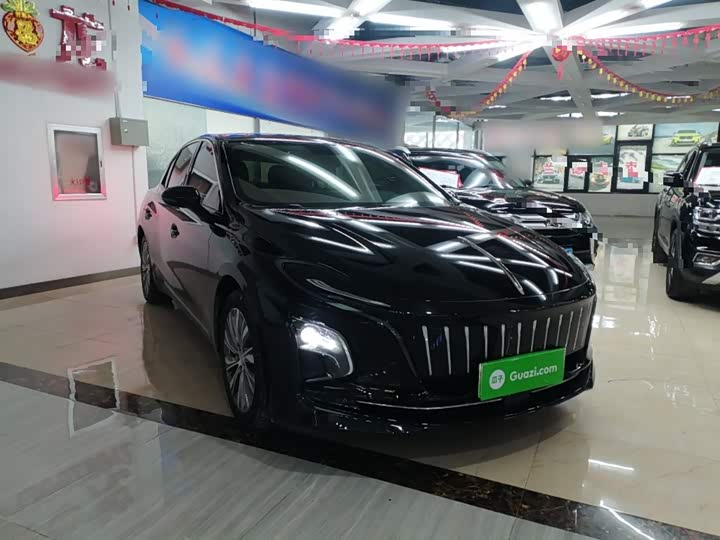 Фото 4 - Hongqi E-QM5