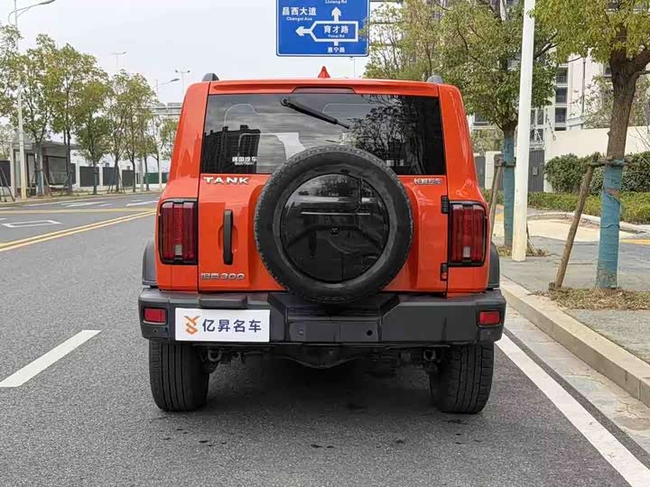 Фото 5 - Tank 300