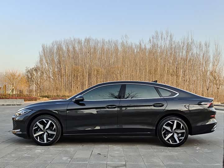 Фото 7 - Volkswagen Lamando L