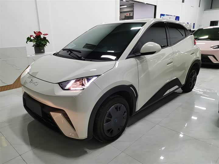 Фото 1 - BYD Seagull