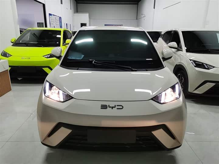 Фото 3 - BYD Seagull