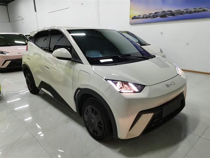 Фото 4 - BYD Seagull