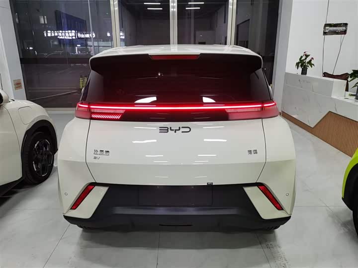 Фото 6 - BYD Seagull