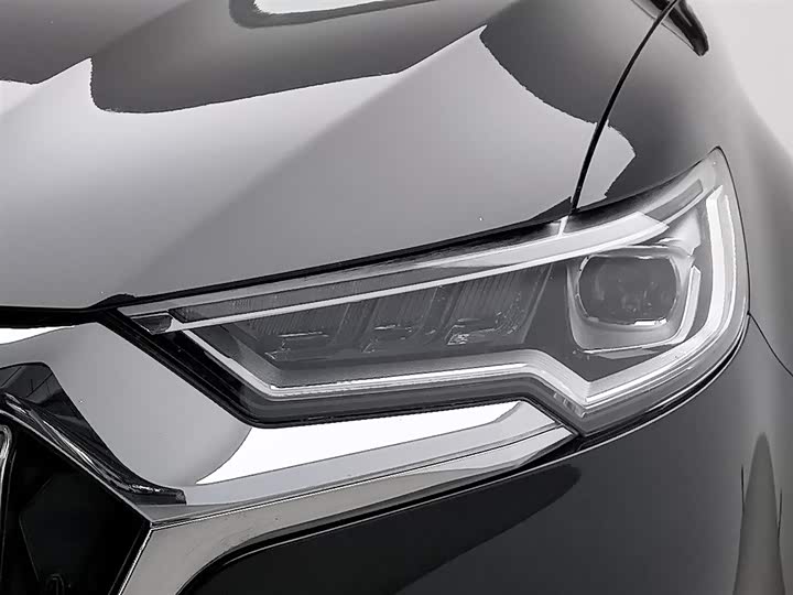 Фото 7 - Hongqi HS5