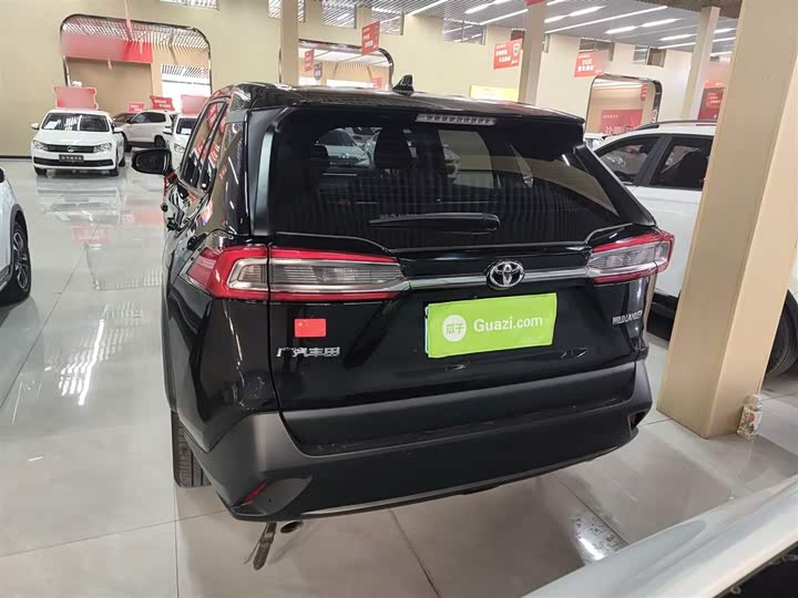 Фото 6 - Toyota Wildlander