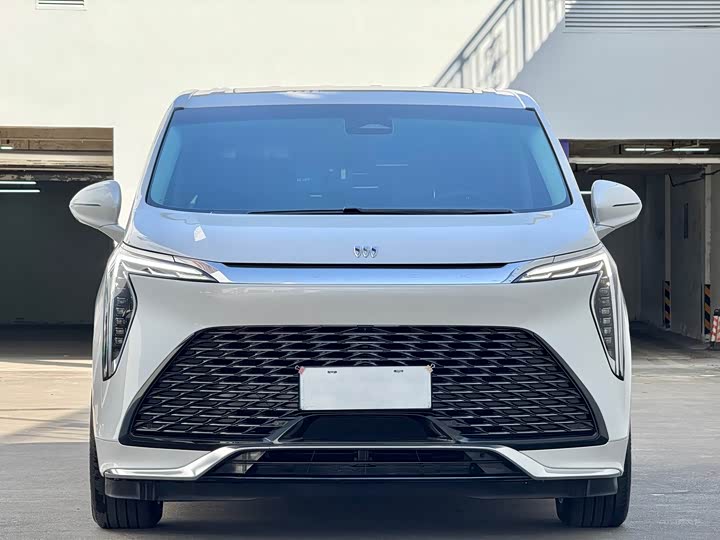 Фото 2 - Buick GL8 Century