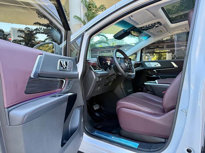 Фото 7 - Buick GL8 Century