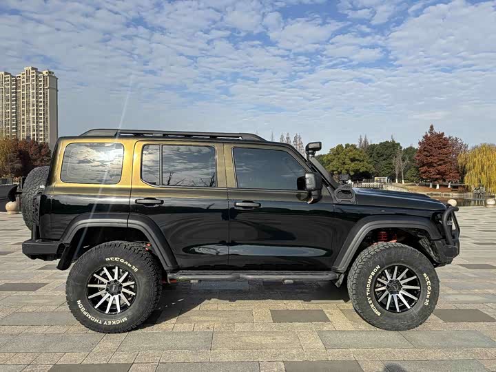 Фото 8 - Tank 300