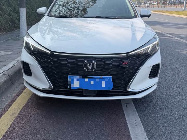 Фото 2 - Changan Eado Plus