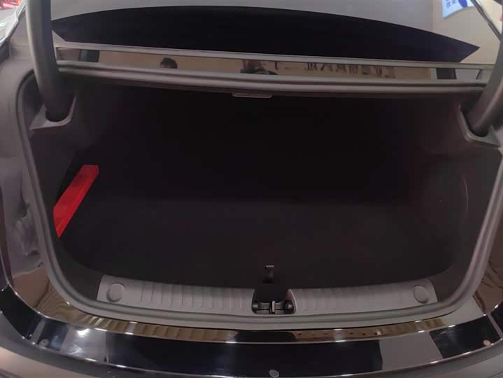 Фото 4 - BYD Han L