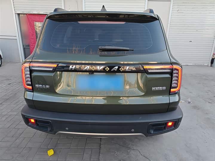 Фото 6 - Haval Dargo