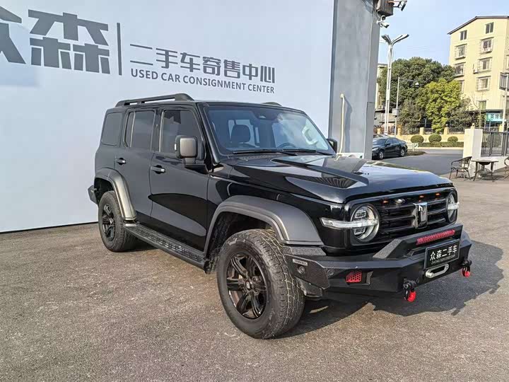 Фото 4 - Tank 300