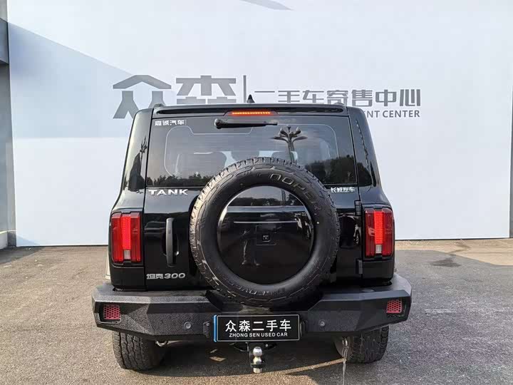 Фото 5 - Tank 300