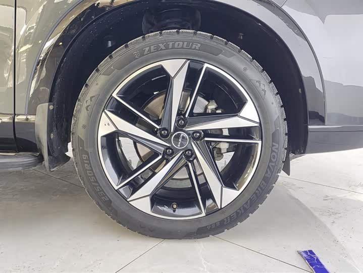 Фото 6 - Roewe RX5 Max