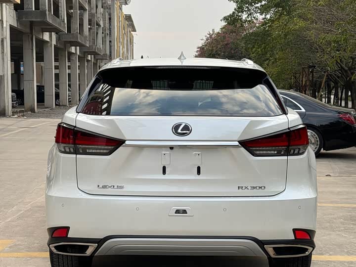 Фото 5 - Lexus RX
