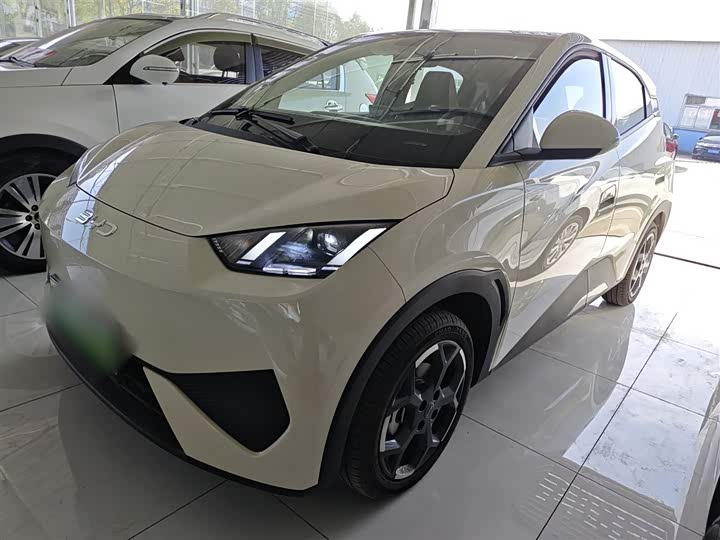 Фото 2 - BYD Seagull