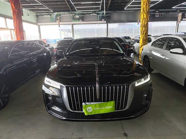 Фото 3 - Hongqi H9