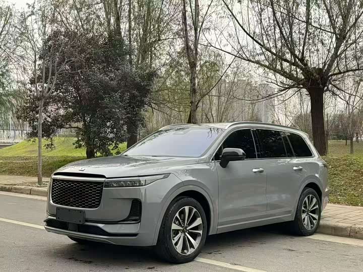 Фото 1 - LiXiang One