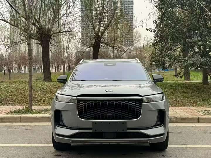 Фото 2 - LiXiang One